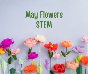 May Flower STEM